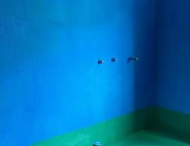 达川卫生间测漏水多少钱